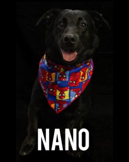 Nano