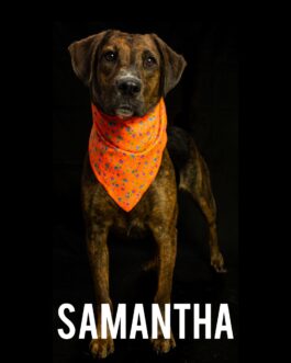 Samantha