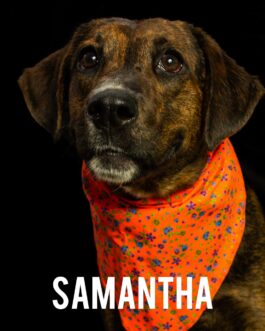 Samantha