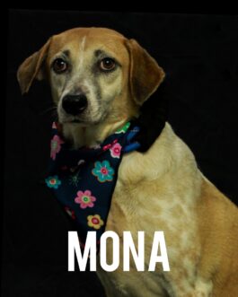 Mona