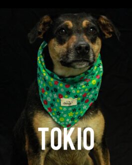 Tokio