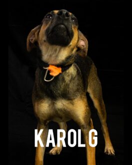 Karol G