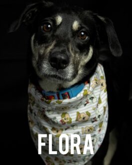 Flora