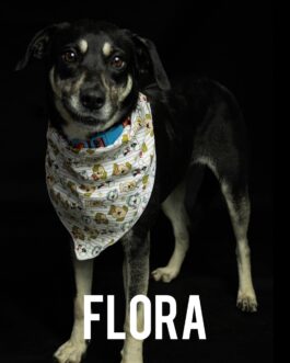 Flora