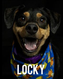 Locky