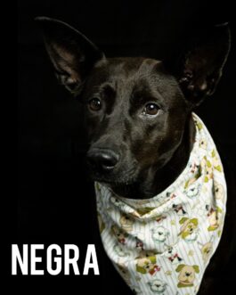 Negra