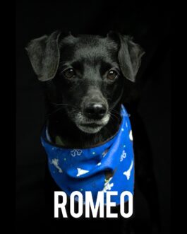 Romeo