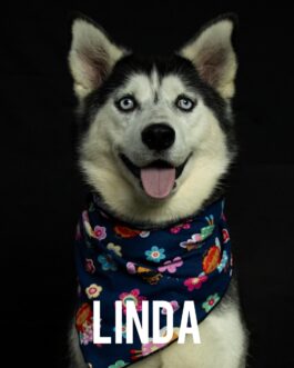 Linda