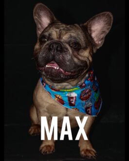 Max